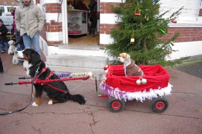 Du Domaine Des Près Du Reste - Marché de Noël d'Ardres 2011